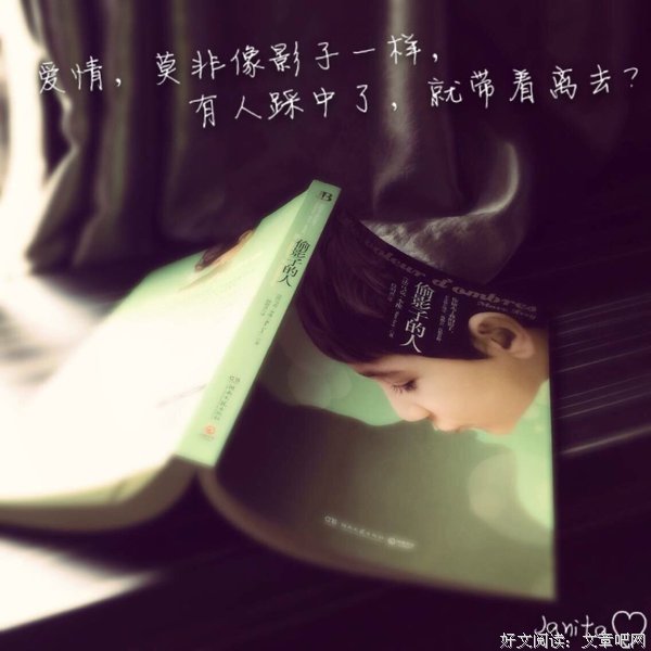 最全的《偷影子的人》经典句子