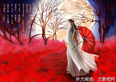 《孤独小说家》经典的句子大全