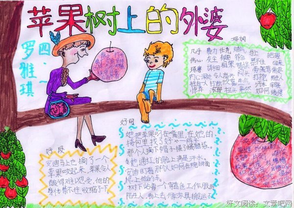 最经典的《安迪的畅想》佳句摘抄