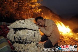 最经典的《挖坟挖出鬼》小说摘抄大全