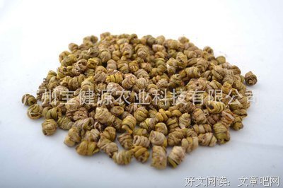 《生了事益?死了事益?》的句子