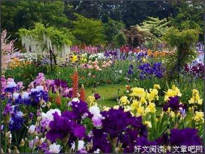 miss.错过句子大全