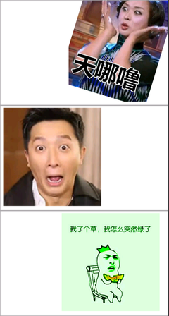 关于受宠若惊的名言