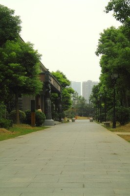 描写河合的语句摘抄