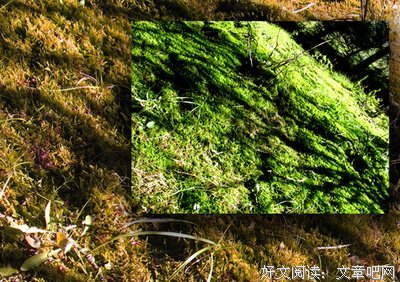 关于俗艳的语句