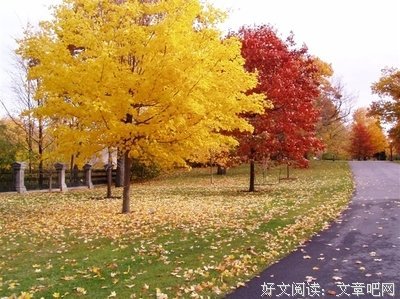 关于心连心的唯美语录