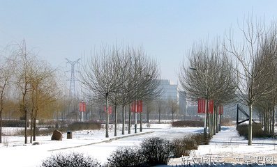 关于北雪的唯美语录