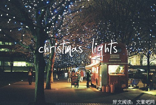 执着的名句_关于执着的名句