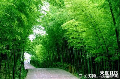 有时放弃，也是一种选择