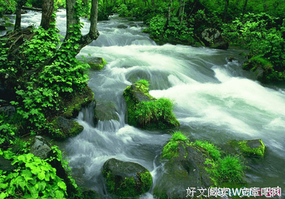 雨好词好句