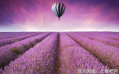 我的高考作文经典名句