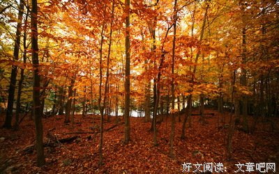 《江南》的句子