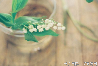 萍生相聚，大而个小第缘分。句子大全
