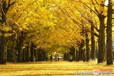 关于双弩精灵名言大全
