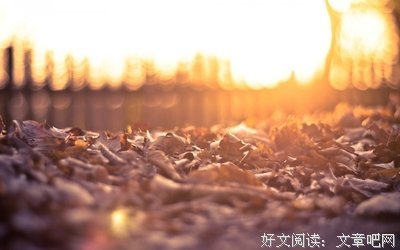 最经典的唯美英语名言大全