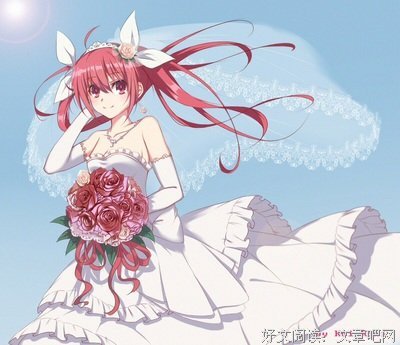 最新的《求婚大作战》经典语录