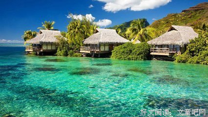最经典的《自由在高处》好段摘抄