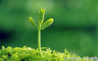 最经典的《足下的恋人》经典句子