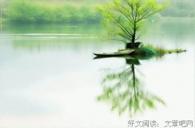 最全的《陆小凤传奇》名句欣赏大全