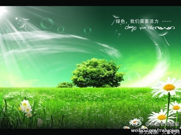 最全的《齐仲龙微博》经典的句子大全