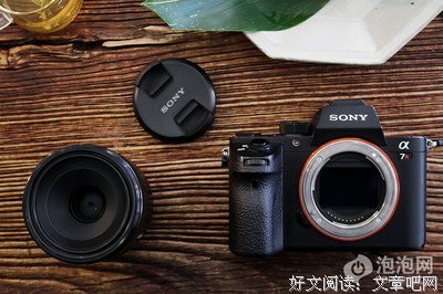 最新的《龙图案卷集》经典的句子