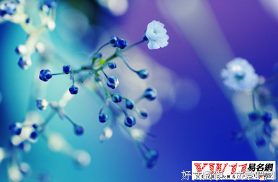 最经典的《他与月光为邻》经典的句子大全