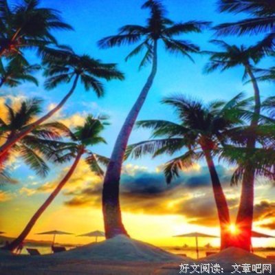 最全的《宁静的最远处》经典名句