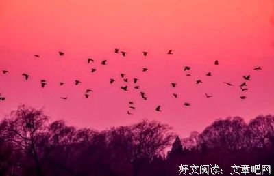 哑哑的语句摘抄_关于哑哑的语句