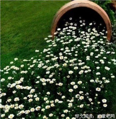 关于茅塞顿开的名言