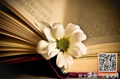 有关相濡以沫的美句摘抄