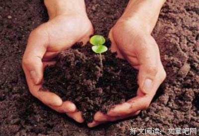 不管历经多少风霜都不改初心的星座