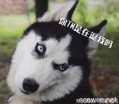 努目却年内发句子