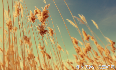 和句子