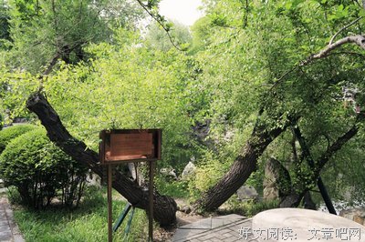 明开夜合名言大全