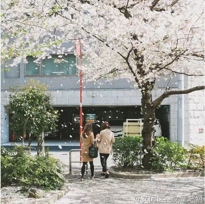 松尾芭蕉名言大全