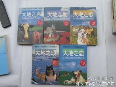 吉米·哈利名言