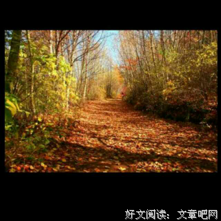 有关欧文·亚隆的名言