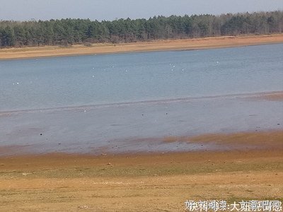 关于韶华千斛的格言