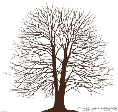 最经典的《我还有一颗心》经典语录大全