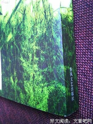最新的《爱与痛的边缘》小说书摘