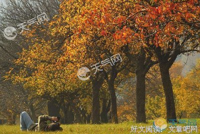 《元气少女缘结神》语录摘抄大全