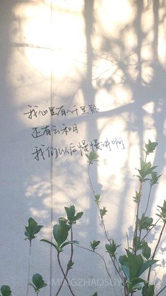 《德卡先生的信箱》经典句子大全