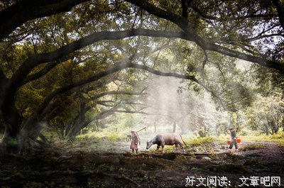 最全的《恨不相逢未剃时》经典名句大全