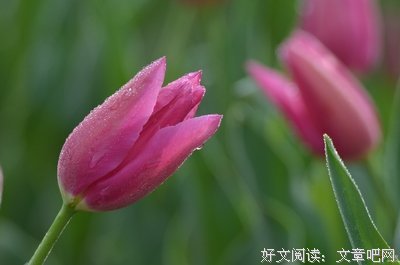 《我想和你在一起》经典名句