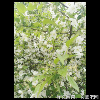 最全的《把时间当作朋友》经典的句子