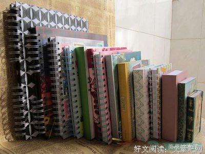 《红玫瑰与白玫瑰》好段摘抄
