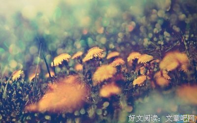 最全的《莫非这就是爱情》经典语录