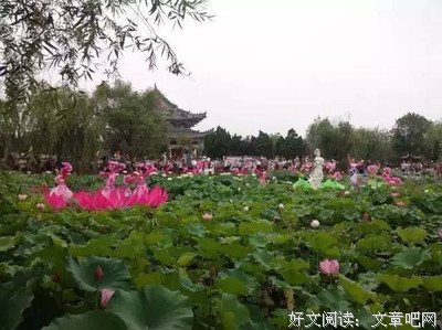 最新的《你一年的8760小时》名句欣赏