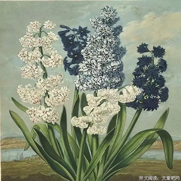 关于量体裁衣名言名句