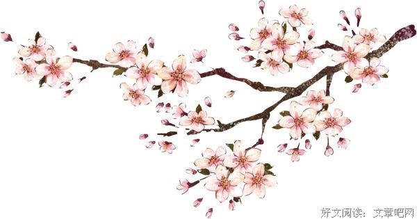 娉婷的语句摘抄_关于娉婷的语句